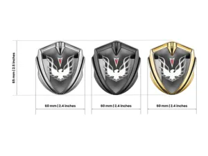 Pontiac Insignias de Coche Tunado Detalle Metal Brillo